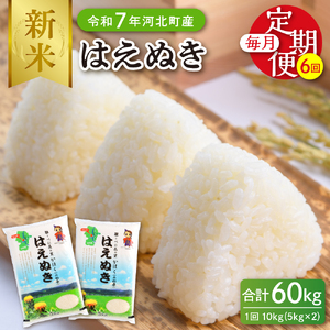 【令和7年産米】※2025年11月上旬開始※ はえぬき60kg（10kg×6ヶ月）定期便 山形県産 【JAさがえ西村山】ka008-010d-r7-11041 先行受付 米 送料無料 ブランド米 白米 精米 こめ ライス ごはん ご飯 おにぎり 弁当 食品 山形県 河北町