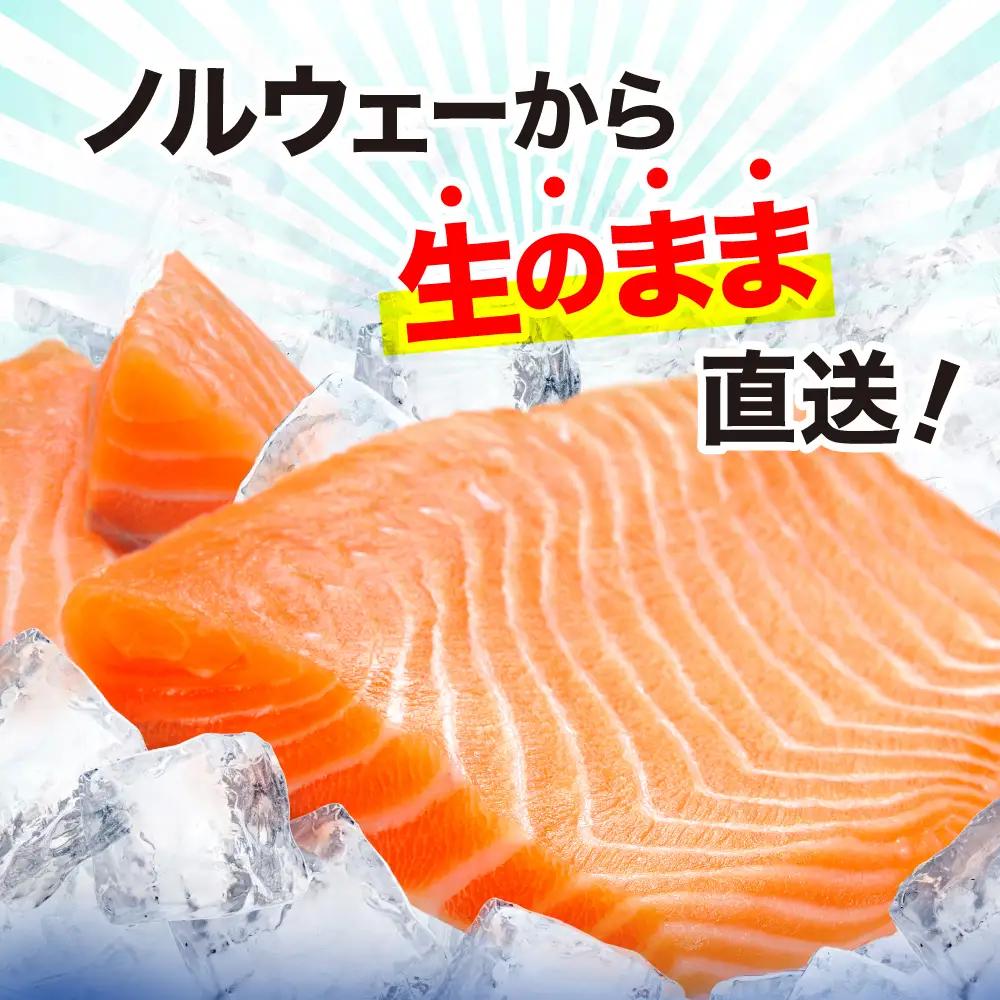 アイスバーグサーモン約200g×5P アトランサーモン