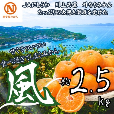 JAにしうわの季節の柑橘(川上共選　風 2.5kg)【B08−93】【1604560】