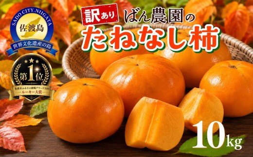 【先行予約 2026年10月以降発送】【訳あり】佐渡島産 たねなし柿 10kg（箱込み重量）平核無柿・刀根早生 渋抜き済み 羽茂産 ばん農園 | 新潟県産柿 新潟産柿 佐渡産柿 佐渡島産かき たねなし柿 種無し柿 おけさ柿 柿 かき カキ わけあり 家庭用 大容量 フルーツ 果物 にいがた さど 新潟県 佐渡市