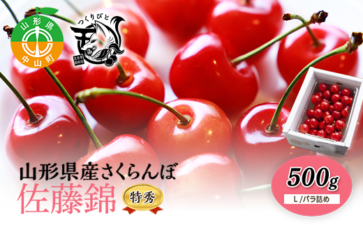 《先行予約・期間限定》さくらんぼ 佐藤錦 500g 特秀Ｌ《バラ詰め》数量限定 サクランボ フルーツ 果物 くだもの F4A-0072