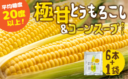 【夏採れお届け】 平均糖度20度以上 極甘とうもろこし 6本 ＋ コーンスープ 鮮度保持袋入り