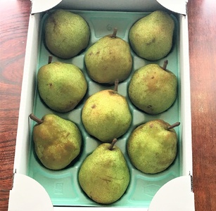 西洋梨（ラ・フランス）３ｋｇ　８～１１玉　ご家庭用　0049-2512