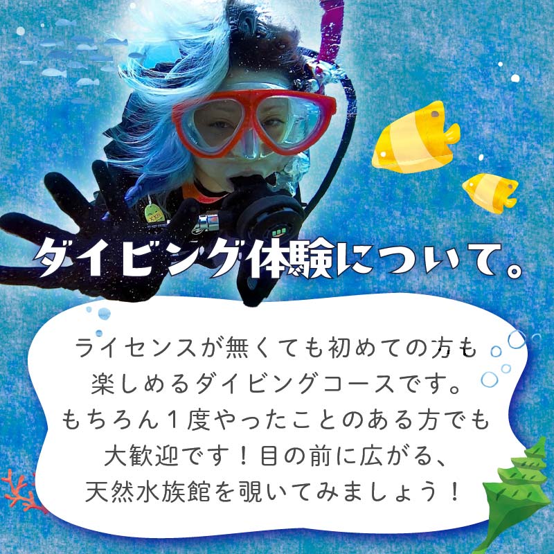 ダイビング 体験チケット 1回コース 下田 体験 海 初心者 1回 コース アウトドア スポーツ アクティビティ マリンスポーツ レジャー 旅行 観光 夏休み お盆 GW 冬休み 春休み 白浜 ホテル