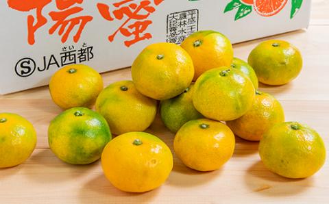 【糖度10.5度以上】 みかん『南国の陽蜜』5kg 　宮崎県西都市産【先行予約】＜1-220＞