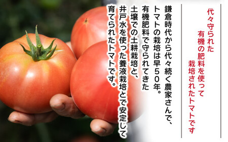 トマト 桃太郎はるか Lサイズ (約16個～18個) 計約4kg | トマト 加藤義明とまと農園