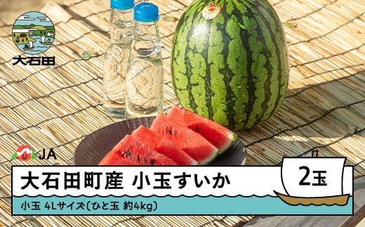 【先行予約】小玉すいか 4L×2玉  2026年産 令和8年産 ひとりじめ または ピノガール すいか スイカ  ※沖縄・離島への配送不可 ja-sukoa4