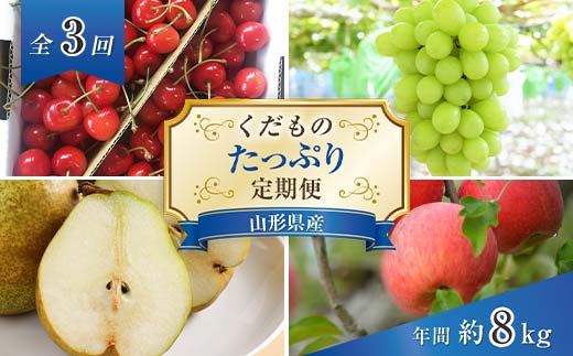 【令和6年産先行予約】 《定期便3回》 くだもの”たっぷり