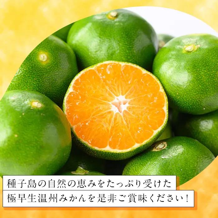 温州みかん 約5kg サイズ大小混合 極早生 鹿児島 蜜柑 ミカン 【提果樹園】n373