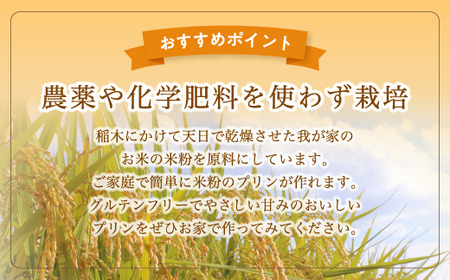 米粉プリンの素 200g（40g×5袋）