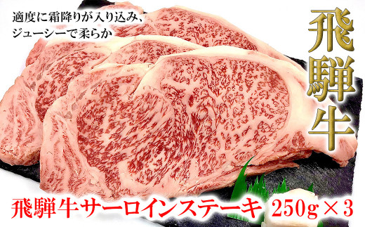 菊の井 飛騨牛サーロインステーキ  250g×3 牛肉 ブランド牛 国産 ギフト 贈答【冷凍】サーロイン 飛騨牛 下呂市 牛 牛肉