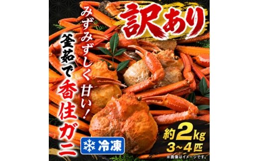 訳あり 兵庫県香住産 釜茹で香住ガニ(紅ズワイガニ)3～4匹入(約2kg) 冷凍【1783401】