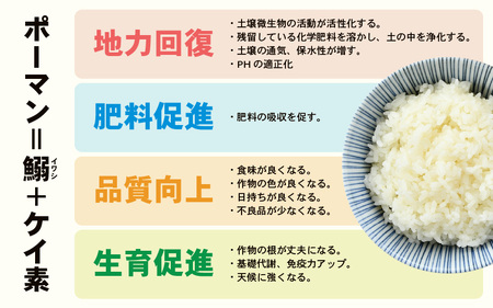 【令和7年産】 特別栽培米 コシヒカリ 無洗米 5kg 低農薬 / 北陸 福井県産 あわら市 ブランド米 白米 お米 コメ 特栽米 [aw056-a025]