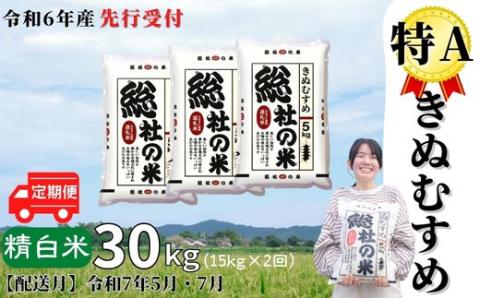 【令和6年産米】特Aきぬむすめ【精白米】30kg 定期便（15kg×2回）岡山県総社市産〔令和7年5月・7月配送〕24-030-008