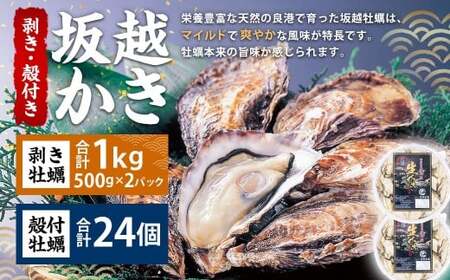 牡蠣 坂越かき 剥き牡蠣 約500g×2パック 殻付き牡蠣 24個 カキ 牡蠣 かき 海の幸 魚介 貝 【2025年11月下旬～2026年4月下旬まで発送予定】