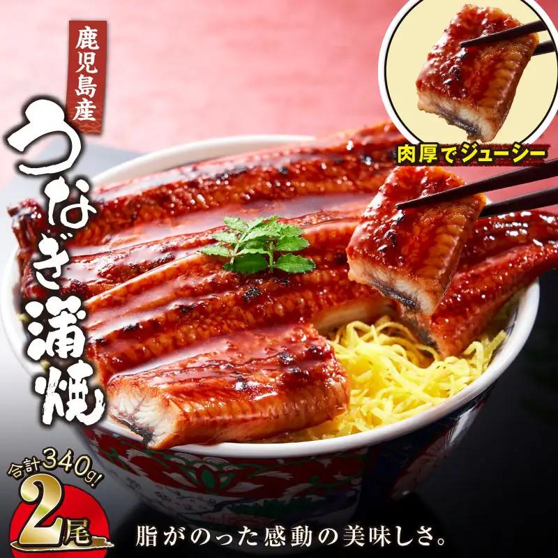 【 土用の丑の日特集 】 1121-4 鹿児島産うなぎ 合計340g（170g×2尾） KN021-014-02 鰻 魚 惣菜 総菜
