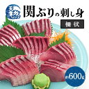 【ふるさと納税】関ぶりの刺し身（柵状） 約600g 関ぶり ブリ ぶり 鰤 関ブリ 関鰤 天然 国産 九州産 大分県産 ブランド魚 佐賀関 冷凍 魚介類 海産物 お刺身 刺身 さしみ 海鮮丼 寿司 ぶりしゃぶ 一本釣り グルメ お取り寄せ お取り寄せグルメ 新鮮 送料無料 E04014