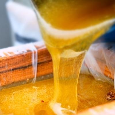 ふるさと納税 小郡市 はちみつらっきょう 300g×2本 国産天然はちみつ漬け[No5354-0309] |  | 02