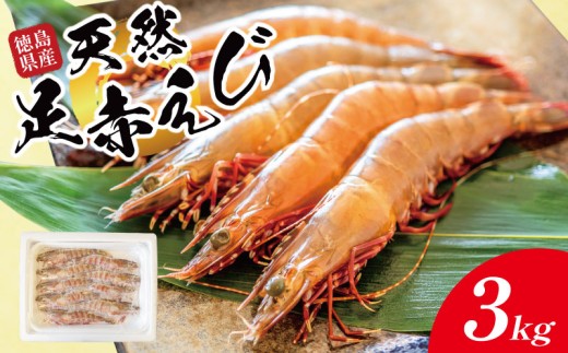 えび 足赤海老 3kg 海老 天然 えび あしあかえび 冷凍 鮮度そのまま 海老 刺身 甘い エビフライ 塩焼き 殻付き プリプリ ebi エビ 天然えび 徳島