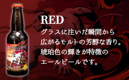 【定期便】 3ヶ月 クラフトビール 計18本 3種 クラフトビール