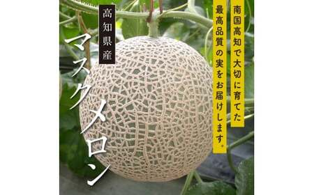 《6ヶ月定期便》高知県産 最高級マスクメロン（ご贈答・ギフト用）1玉入 【発送期間：4月～12月（9カ月）】【1月～3月は気候温度不安定の為出荷不可となります。】〈南国市共通返礼品〉
