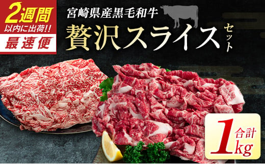 
            宮崎県産黒毛和牛＜新富育ちGyuGyu・贅沢スライスセット（500g×2P）＞合計1kg 肉 牛肉 宮崎県産【B653】
          