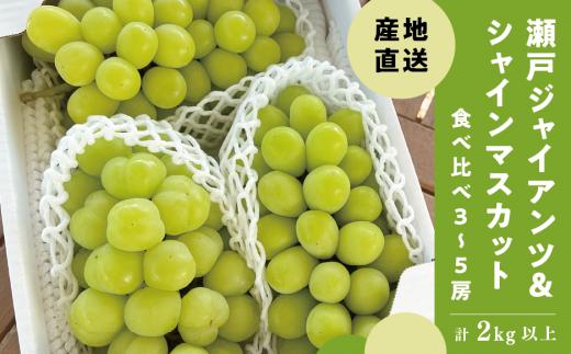 
                  【人気品種セット】シャインマスカット&瀬戸ジャイアンツ 3-5房/計2.0kg (岡山県産)【KF-B080-01】
                