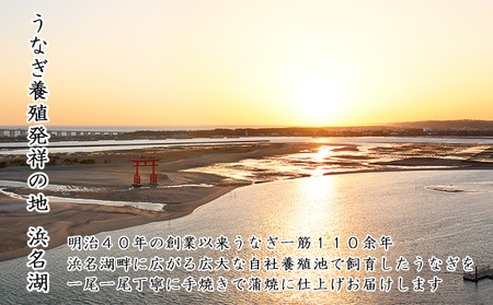 浜名湖うなぎ蒲焼 110g×4尾（計440g） 真空パック 冷蔵 【浜名湖うなぎ・国産うなぎ】 うなぎの蒲焼き 土用の丑の日 和食 魚料理 お酒のあて つまみ 手焼き 