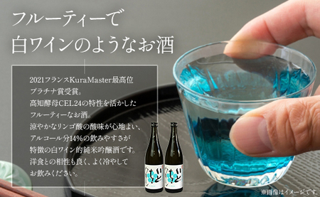 【６回定期便】純米吟醸いとをかし 720ml×2本 - お酒 さけ 酒 日本酒 米 飲み物 飲料 アルコール 晩酌 フルーティー 特産品 ギフト 贈り物 贈答用 プレゼント お酒好き 記念日 お礼 御