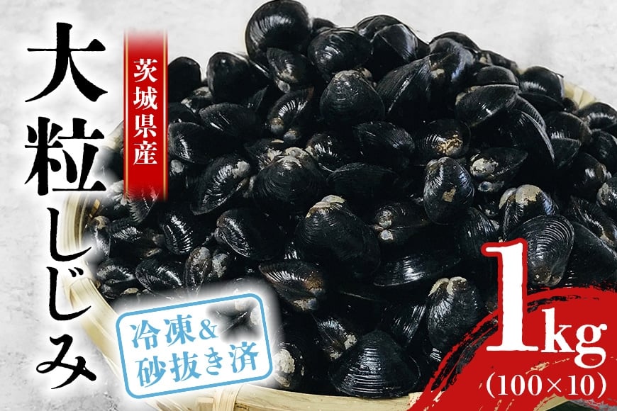 
            涸沼産 冷凍しじみ 大粒 1kg（100g×10p）【石岡市・水戸市共通返礼品】 しじみ シジミ 蜆 国産 小分け 砂抜き不要 冷凍 冷凍保存 海鮮 貝 魚貝類 魚介類 魚貝 魚介 味噌汁 みそ汁 酒蒸し おつまみ しじみ汁 C10-002
          