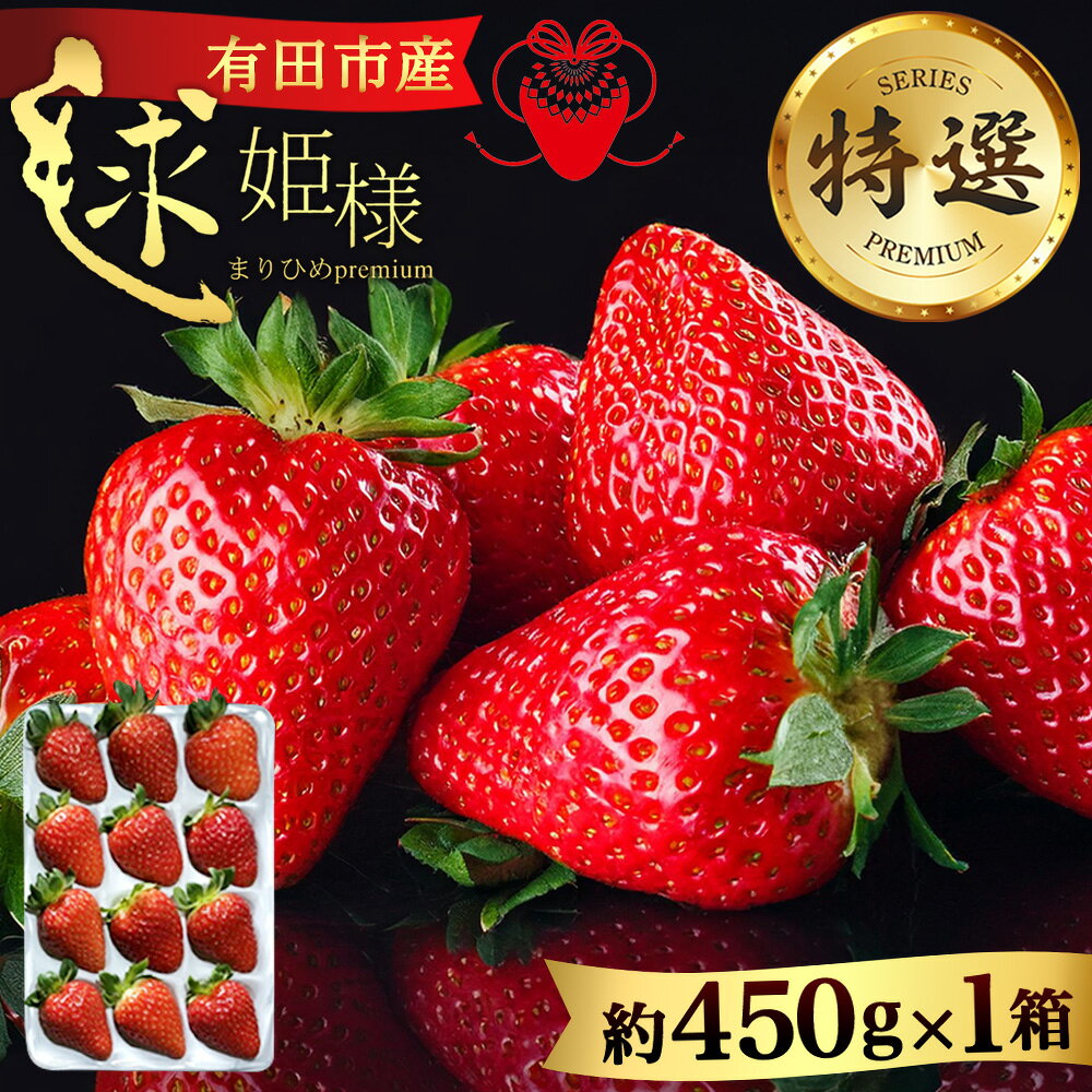 【ふるさと納税】★1月も順次発送★ いちご 季節限定 高級 毬姫様 約450g×1箱 まりひめ まりひめさま 和歌山 苺 イチゴ 産地直送 濃厚 甘い 贈り物 ギフト フルーツ 果物 くだもの 人気 おすすめ 送料無料 国産 和歌山県有田市（A155-2）