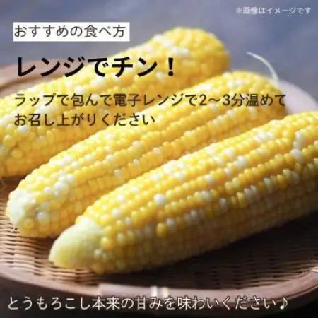 京都府久御山町 とうもろこし バイカラー 5本 朝採れコーン【配送不可地域：離島・北海道・沖縄県・東北】【1737376】