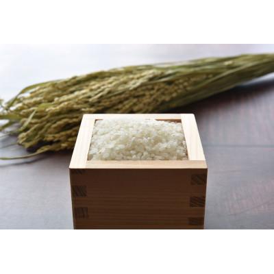 ふるさと納税 美唄市 【特Aランク】令和7年北海道産ゆめぴりか　合計10kg(5kg×2袋) |  | 01