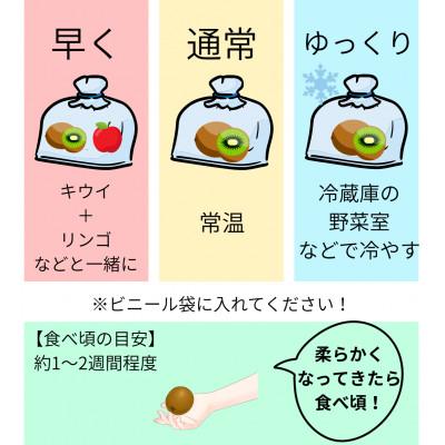 ふるさと納税 伊予市 『翠珠の宝石』キウイ　秀品・優品込み　1.5kg |  | 03