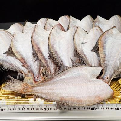 ふるさと納税 根室市 ＜12/10まで年内配送＞★一夜干し宗八かれい12枚 G-11006 |  | 01