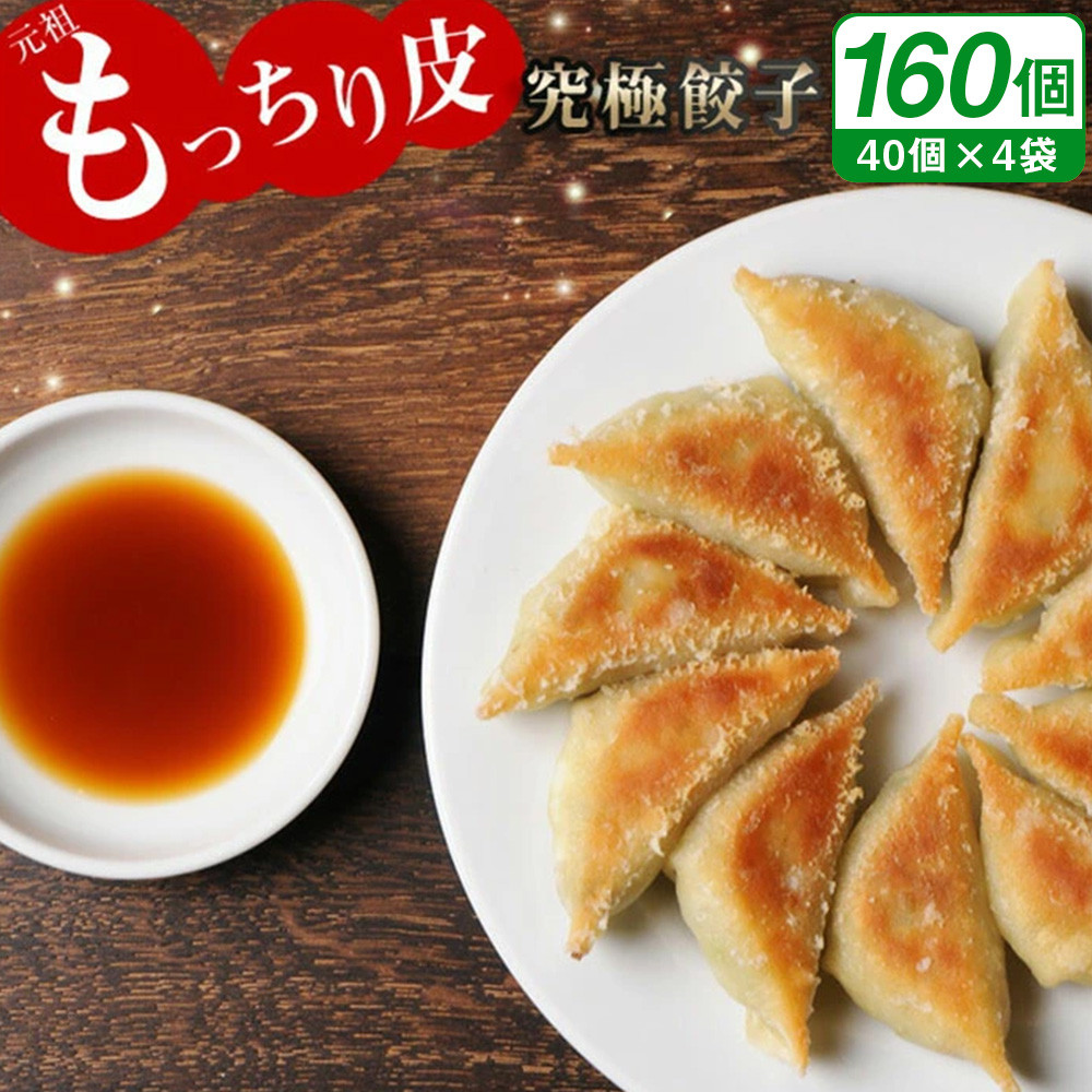 【2/10放送 熱狂マニアさん!出演】＜馬渡のもっちり餃子160個＞翌月末迄に順次出荷 餃子の馬渡