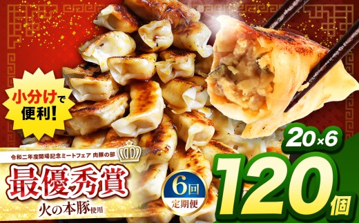 【 定期便6回 】 火の本豚餃子 （20個×6パック）120個入 | 熊本県 熊本 くまもと 和水町 なごみ 豚肉 火の本豚 地域ブランド ギョウザ ぎょうざ 20個 6パック 120個 冷凍餃子