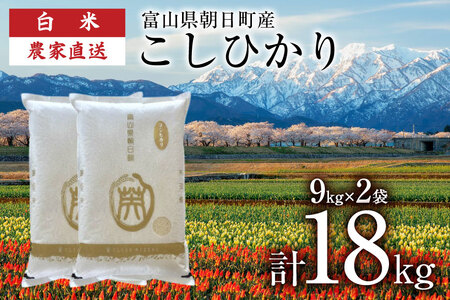 【期間限定発送】 米 令和7年産 こしひかり 精米 計18kg 9kg 2袋 [クリーンみず穂 富山県 朝日町 34310541] お米 コシヒカリ コメ 18キロ ご飯 ごはん 白米 産地直送 一等米 おこめ こめ