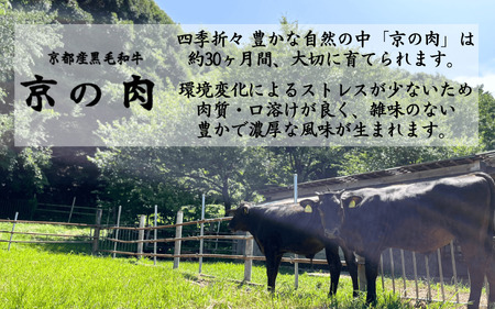 【京都府産黒毛和牛 焼肉セット】希少部位入り焼肉6種 （焼肉牛肉 焼肉 焼肉食べ比べ 焼肉