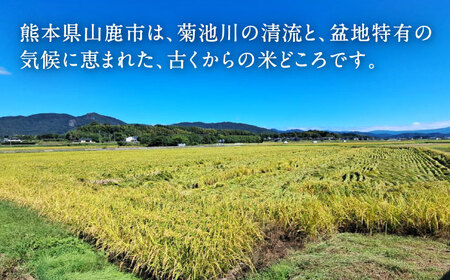 ヒノヒカリ 無洗米 1kg×6袋 【株式会社 岩下農園】[ZFS007]