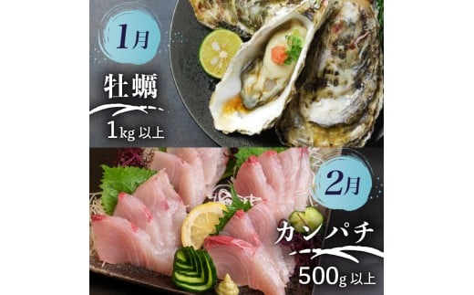 【 高知 の 海鮮 定期便 】 旬 海鮮定期便 6回 お楽しみ 高知 海鮮 かつお タタキ 鯛 タイ 勘八 カンパチ 牡蠣 カキ しらす シラス ウツボ うつぼ 貝 盛合 定期便 6回  半年 高級魚