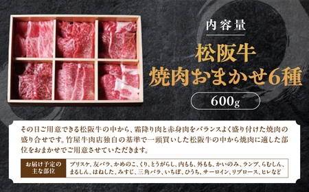 松阪牛 極上 焼肉  おまかせ6種 600g 松阪牛 焼肉 松阪牛 焼肉 松阪牛 焼肉 松阪牛 焼肉 三重県 多気町 TKG-51