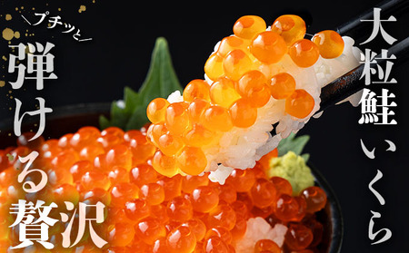 大粒 鮭いくら 醤油漬け 500g [024-a055]