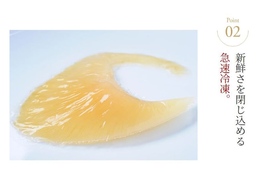 ふかひれ姿煮 紅焼姿煮50g [石渡商店 宮城県 気仙沼市 20565574] フカヒレ スープ 気仙沼 ふかひれ スープ ふかひれスープ 鱶鰭 レトルト 中華 豪華