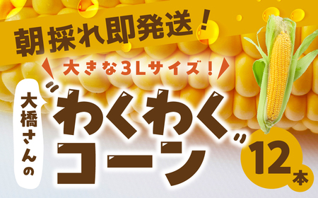 《先行予約》大橋農園のトウモロコシ わくわくコーン 12本 大きい とうもろこし