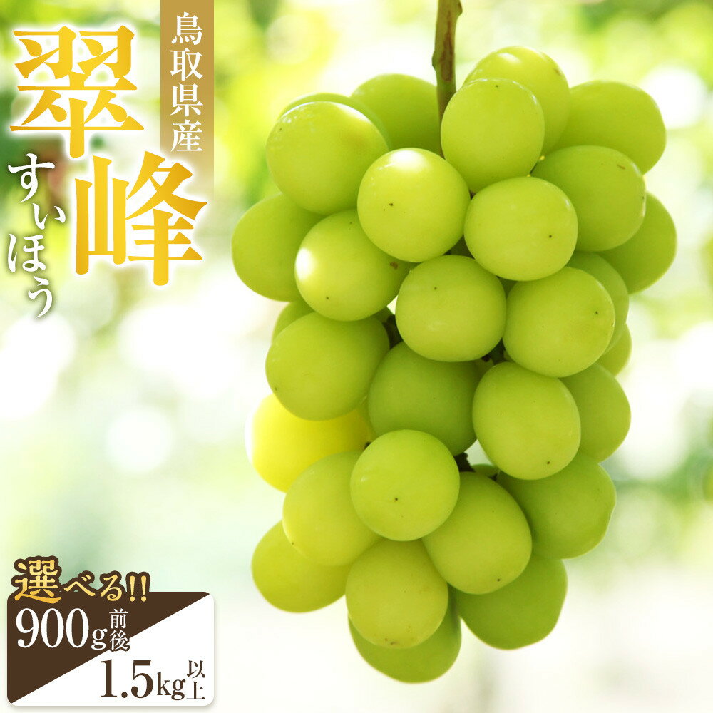 【ふるさと納税】＼選べる容量／ ぶどう　翠峰（すいほう）　【 900 g 前後 ・ 1.5 kg 以上 】　※2026年9月中旬～下旬頃に順次発送予定　※北海道・沖縄・離島への発送不可　＜2026年は、1.5kgのみの掲載となります＞
