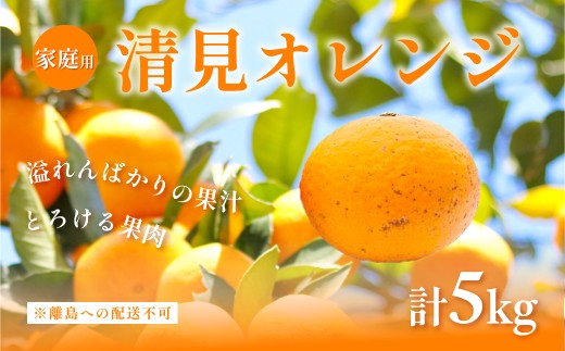 【先行予約】【家庭用】清見オレンジ計5kg ※離島への配送不可（2027年3月上旬頃より順次発送予定）  【柑橘 みかん ミカン フルーツ 果物 愛媛】 IKTAC007