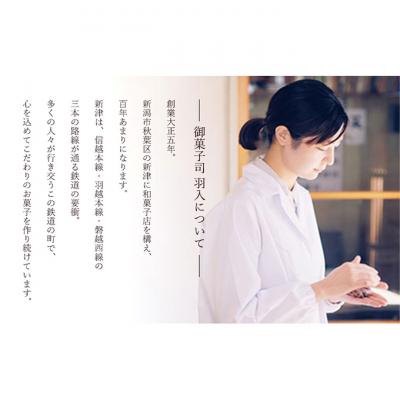 ふるさと納税 新潟市 白雪もち麦の笹団子 [54071181] |  | 01