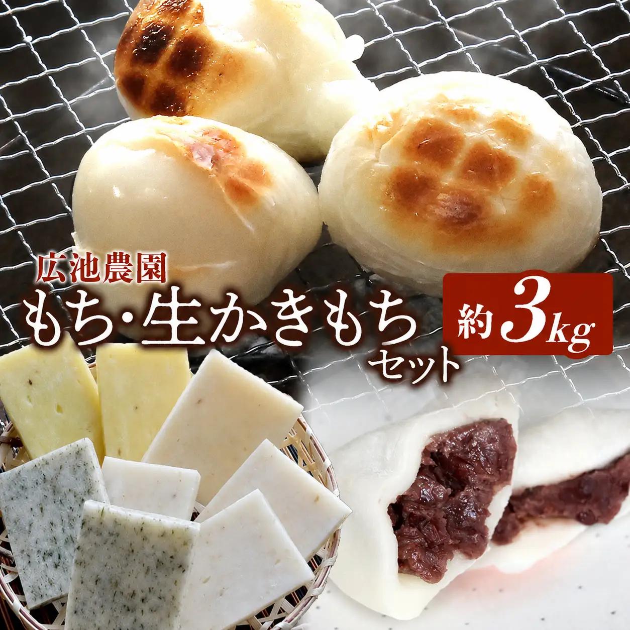 【期間・数量限定】広池農園もち・生かきもちセット 約3kg ( 冷凍小もち500g×2 冷凍あんもち6ヶ入×2 生かきもち×3パック ) | もち 生かきもち セット 3kg 3キロ 小もち あんもち かきもち 白餅 よもぎ餅 生もち 大分県産 もち米 九州産 国産 冷凍 大分県 中津市