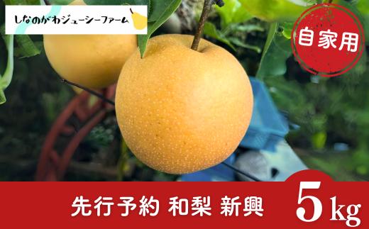 [2026年産先行予約] 和梨 新興 自家用 約5kg 令和8年度 新潟県 三条市産 梨 [しなのがわジューシーファーム]【010S494】